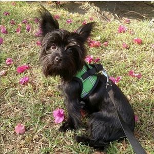 Meet your Posher, Rebecca